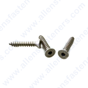 #14 FLAT HEAD ALLEN SHEET METAL SCREW (STAINLESS)